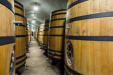 《匹诺曹的谎言》销量突破100万份